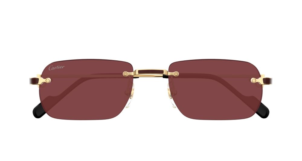 Cartier CT0498S 002 55 очки с/з