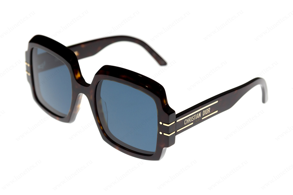 Christian Dior DIORSIGNATURE S1U 20B0 55 очки с/з